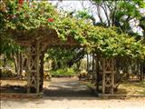 Luis Muñoz Rivera Park - SAN JUAN